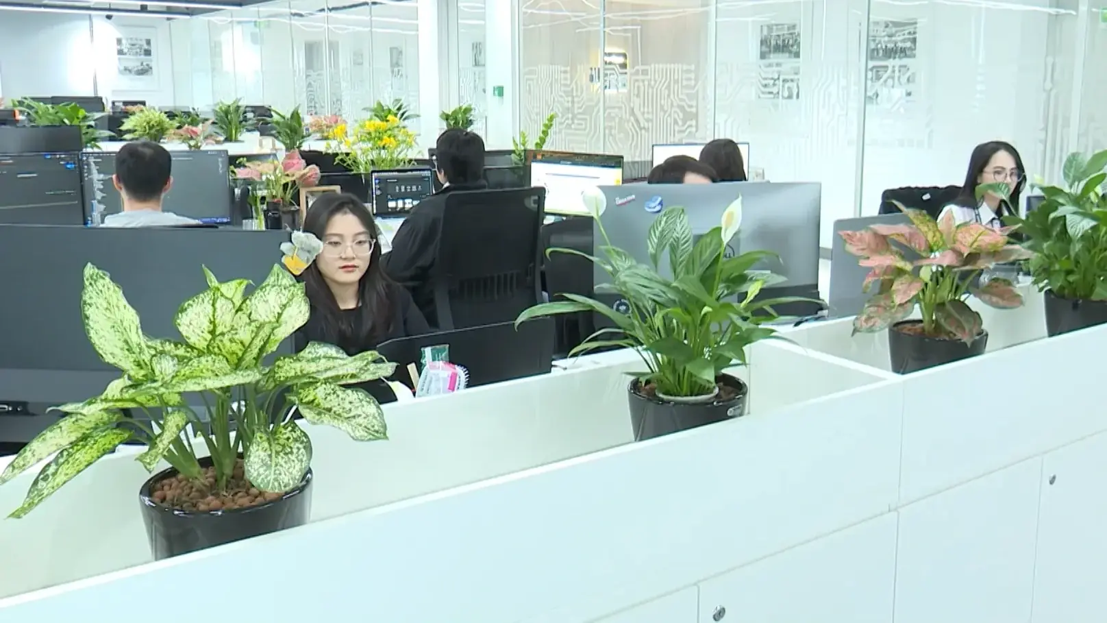 Xu hướng 'di cư' văn phòng ra ngoại thành